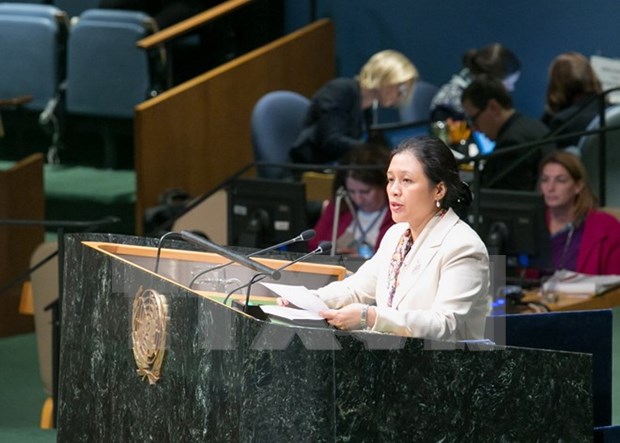 Vietnam affirms commitment to promoting human rights hinh anh 1