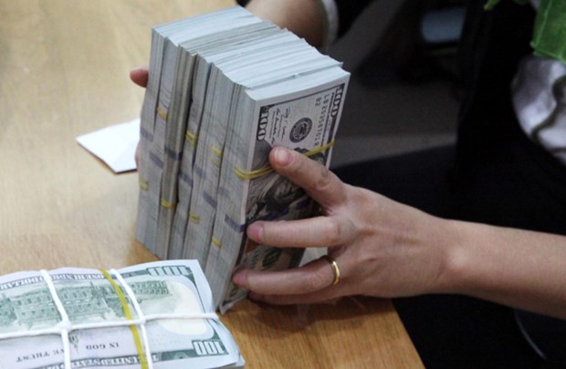 Reference exchange rate falls for fourth consecutive day hinh anh 1
