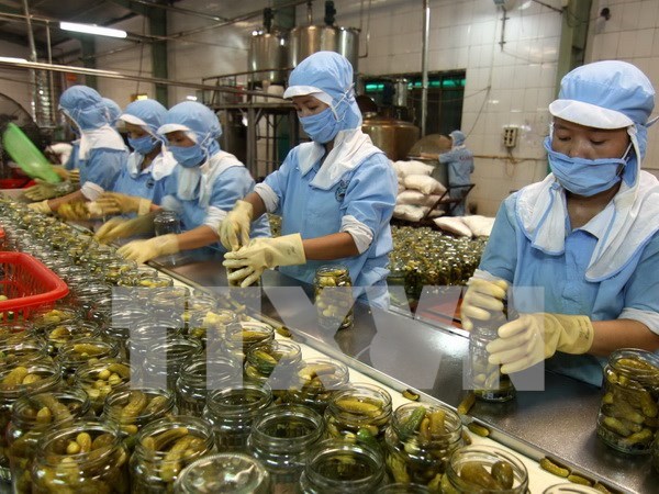Vietnam, EU firms seek to boost farm produce export hinh anh 1