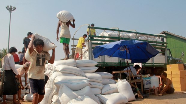 Myanmar rice exports decrease hinh anh 1