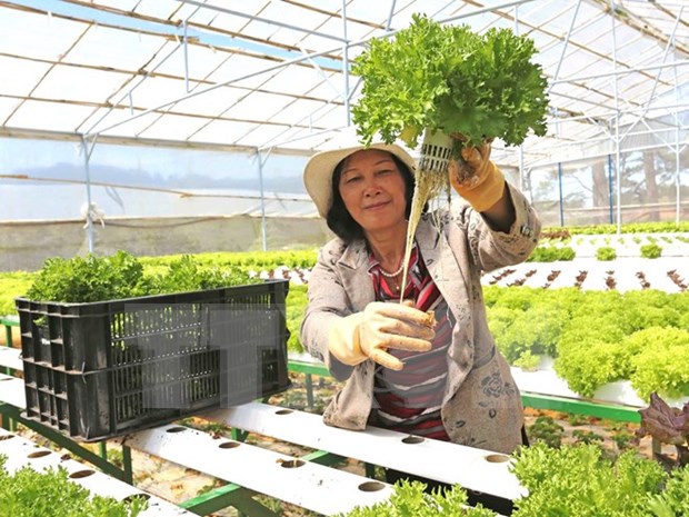 EU - potential market for Vietnamese farm produce hinh anh 1