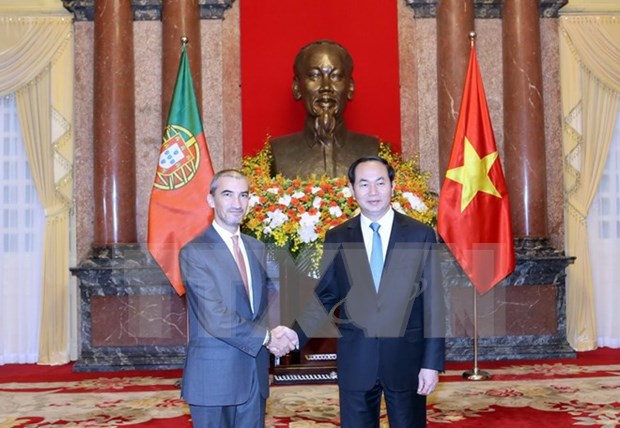 State leader welcomes newly-accredited ambassadors to Vietnam hinh anh 5