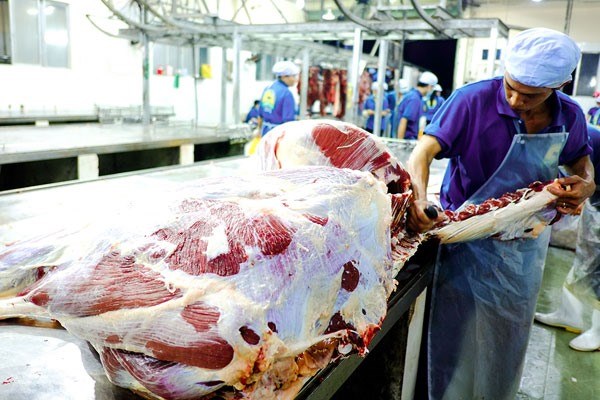 EU beef imports to Vietnam recover hinh anh 1