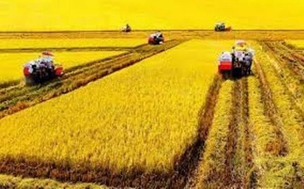 Ministry encourages focus on agricultural machinery hinh anh 1