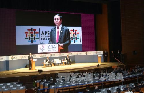 Vietnamese President’s speech at APEC CEO Summit 2016 hinh anh 1