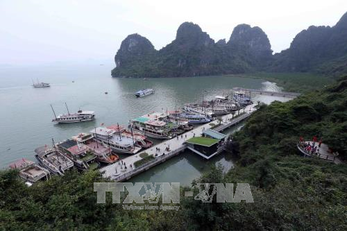 Programme promotes actions for green Ha Long hinh anh 1