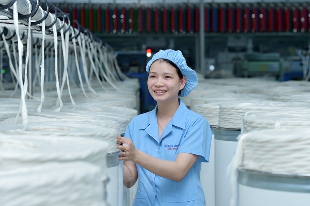 Garment-textile sector aims at 40 billion USD in export in 2019 hinh anh 1