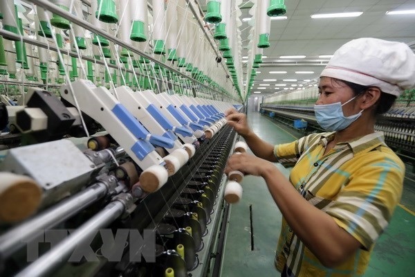 Vietnam’s GDP to grow 2-3 percent this year: former GSO director hinh anh 1