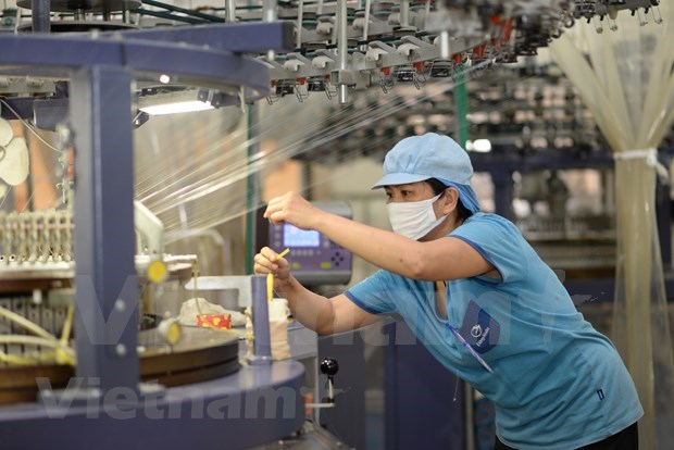Vietnam’s H1 exports feel brunt of COVID-19 hinh anh 1