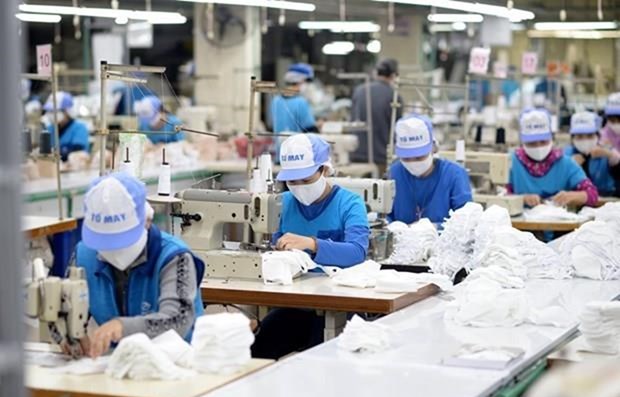 Domestic labour market shows rosy signs in Q4 hinh anh 1