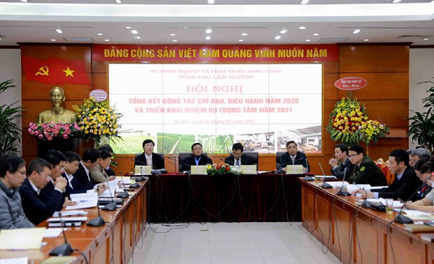Minister urges quick building of project on natural forest protection hinh anh 2