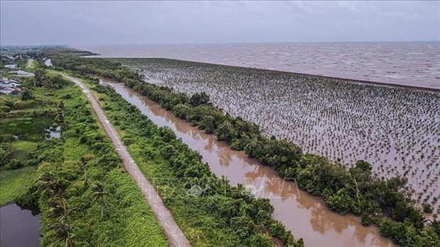 New planning views climate change as opportunity for Mekong Delta hinh anh 2