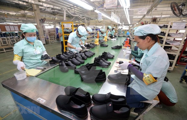 Measures sought to help footwear industry get back on front foot hinh anh 2