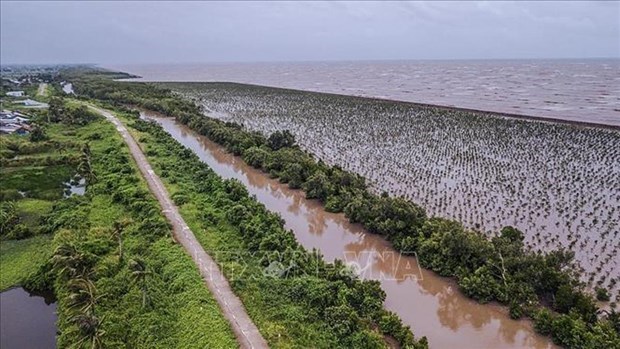 Vietnam to have new master plan for sustainable development of Mekong Delta hinh anh 1