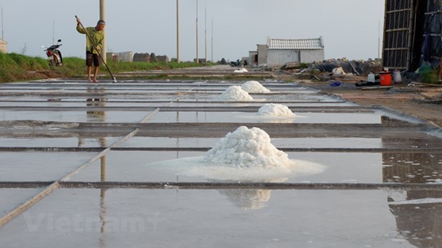 “White gold” story: Preserving salt-making in Nam Dinh province hinh anh 2
