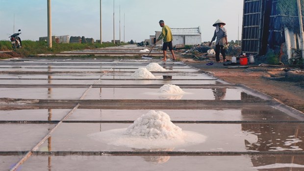 “White gold” story: Preserving salt-making in Nam Dinh province hinh anh 3