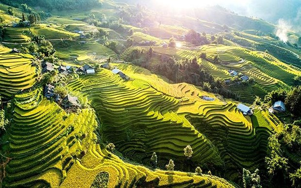 Ha Giang promotes beauty of Hoang Su Phi terraced fields online hinh anh 2