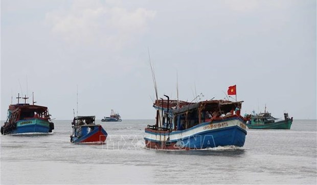 Fishing vessels to be closely controlled to end IUU hinh anh 1