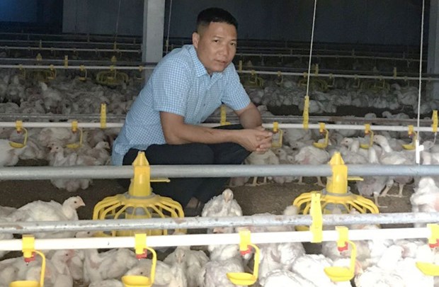 Hanoi villagers turn barren lands into profitable farms hinh anh 1