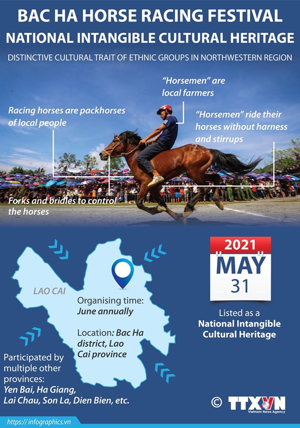 Reviving horse racing tradition in Lao Cai’s Bac Ha hinh anh 2