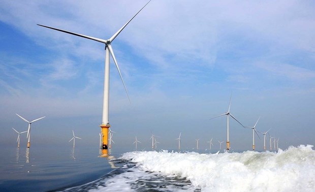 Vietnam has substantial potential for offshore wind power: report hinh anh 1