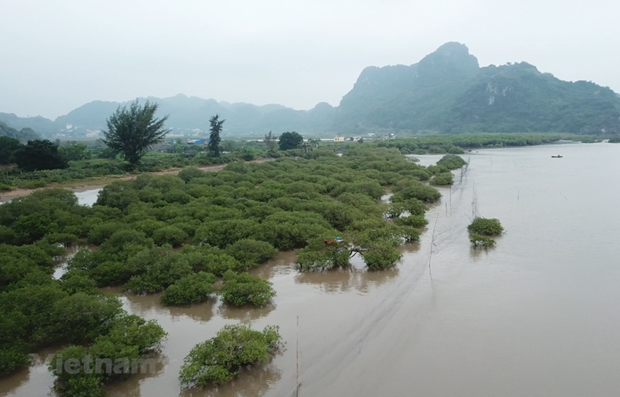 Vietnam’s biodiversity declines at different levels hinh anh 1