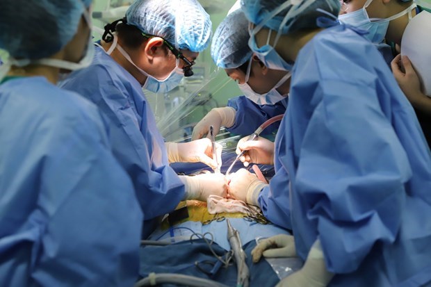 Liver transplants give new life to two children with complex health conditions hinh anh 1