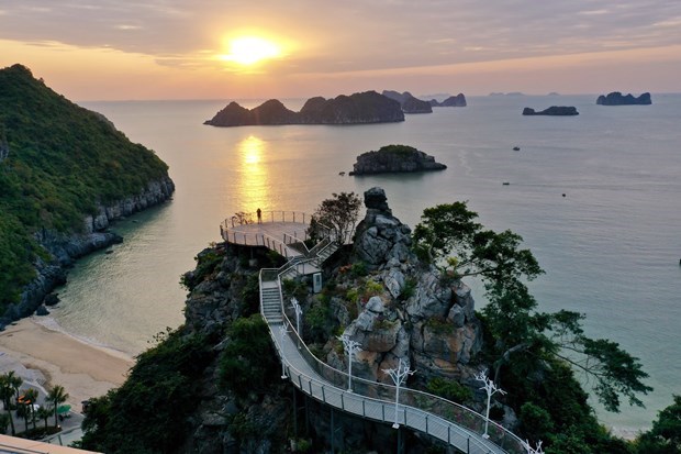 Connection of “green zones” expected to help tourism overcome COVID-19 crisis hinh anh 2
