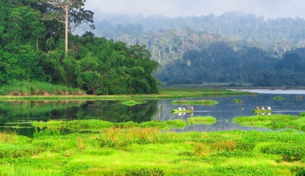 Dong Nai Biosphere Reserve – “green lung” of Southeastern region hinh anh 1