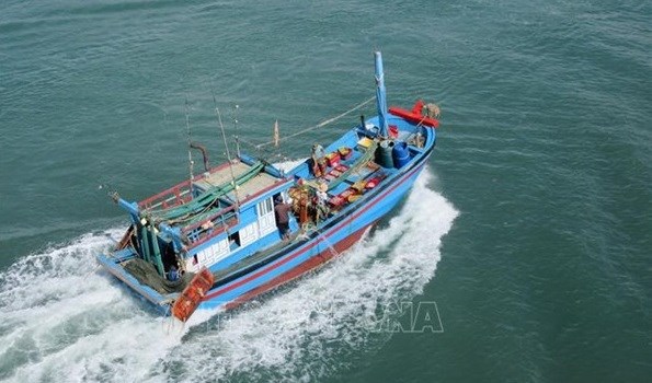 Tien Giang moves to preserve aquatic resources, fight IUU fishing hinh anh 1