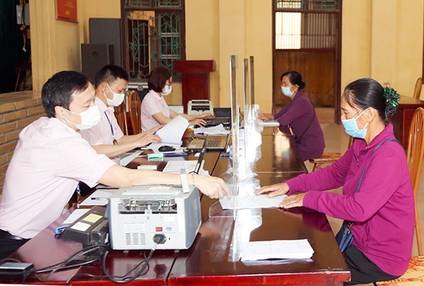 Timely access to loans helps recover production in Hanoi hinh anh 1