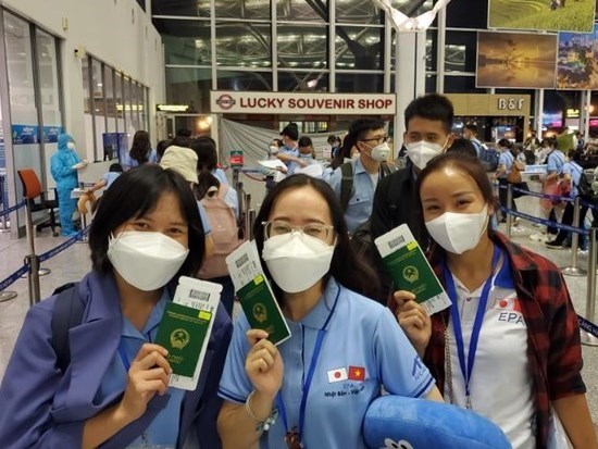 Wide door opened for Vietnamese nurses, caregivers in Japan hinh anh 1