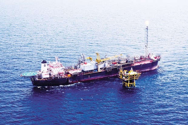 Oil, gas industry needs more incentives to grow further hinh anh 1