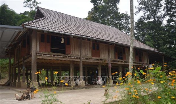 Muong ethnic group’s stilt houses preserved via community-based tourism development hinh anh 1