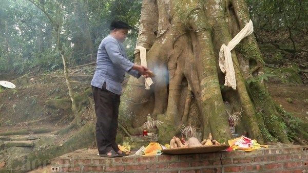 Forest worship ceremony - special cultural heritage of Mong people hinh anh 1