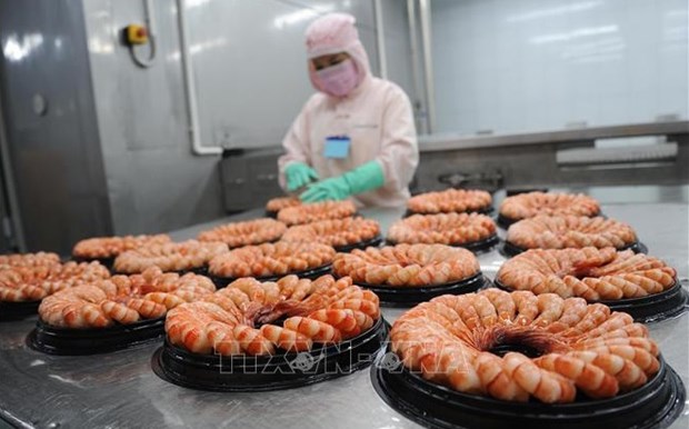 Big room for shrimp industry to increase exports: VASEP hinh anh 1
