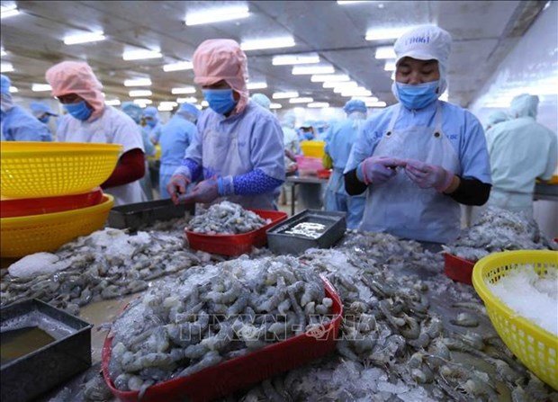 Big room for shrimp industry to increase exports: VASEP hinh anh 2