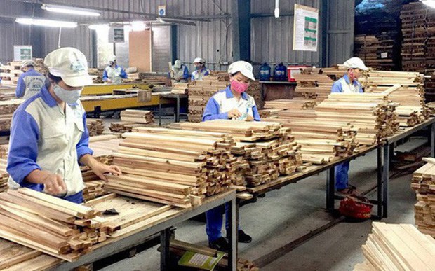 Vietnam sets goal of 18.5 billion USD for wood exports in 2025 hinh anh 2