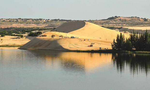 Sand dunes – magnet for tourists in Binh Thuan province hinh anh 2