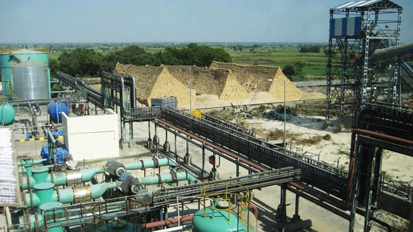 Vietnam has huge biomass power potential, but more incentives needed hinh anh 1