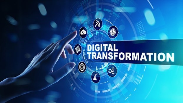 Digital transformation help connect insurance, population databases hinh anh 1