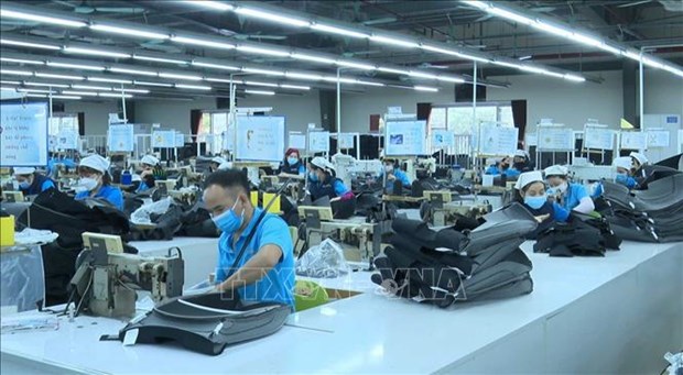 Firms join hands in training human resources hinh anh 1