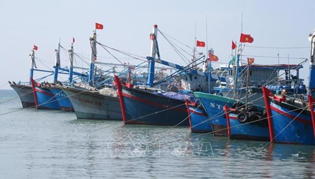 Vietnam makes continuous efforts to fight IUU fishing hinh anh 1