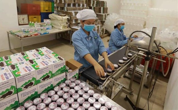Large room for Vietnam’s dairy farming industry to flourish hinh anh 1