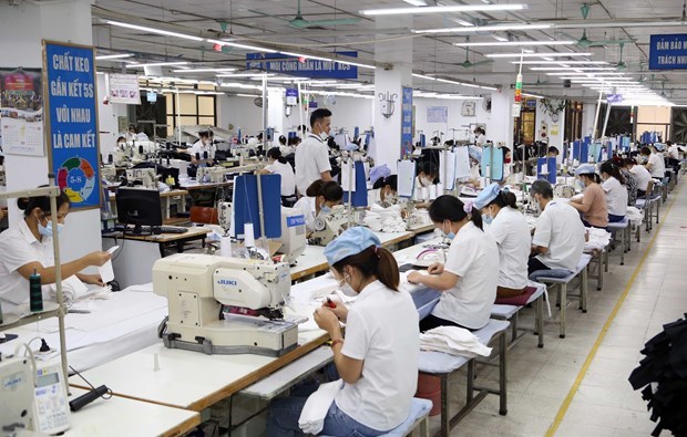 Vietnamese firms in state of flux regarding COVID-19 disruptions hinh anh 1