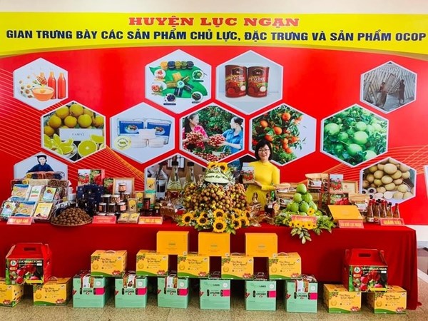 Bac Giang works hard to bring “thieu” litchi to more markets hinh anh 1