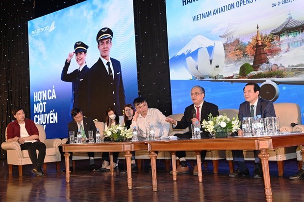 Aviation, tourism take off as doors open hinh anh 2