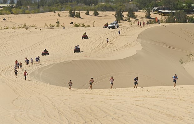 Attractive sand dunes in Binh Thuan hinh anh 1