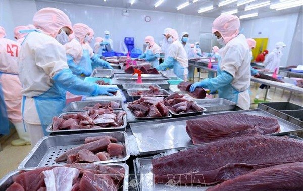 Tuna exports predicted to surge amid high inflation hinh anh 2