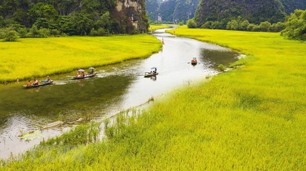 Foreign media: Vietnam among attractive tourism destinations hinh anh 3